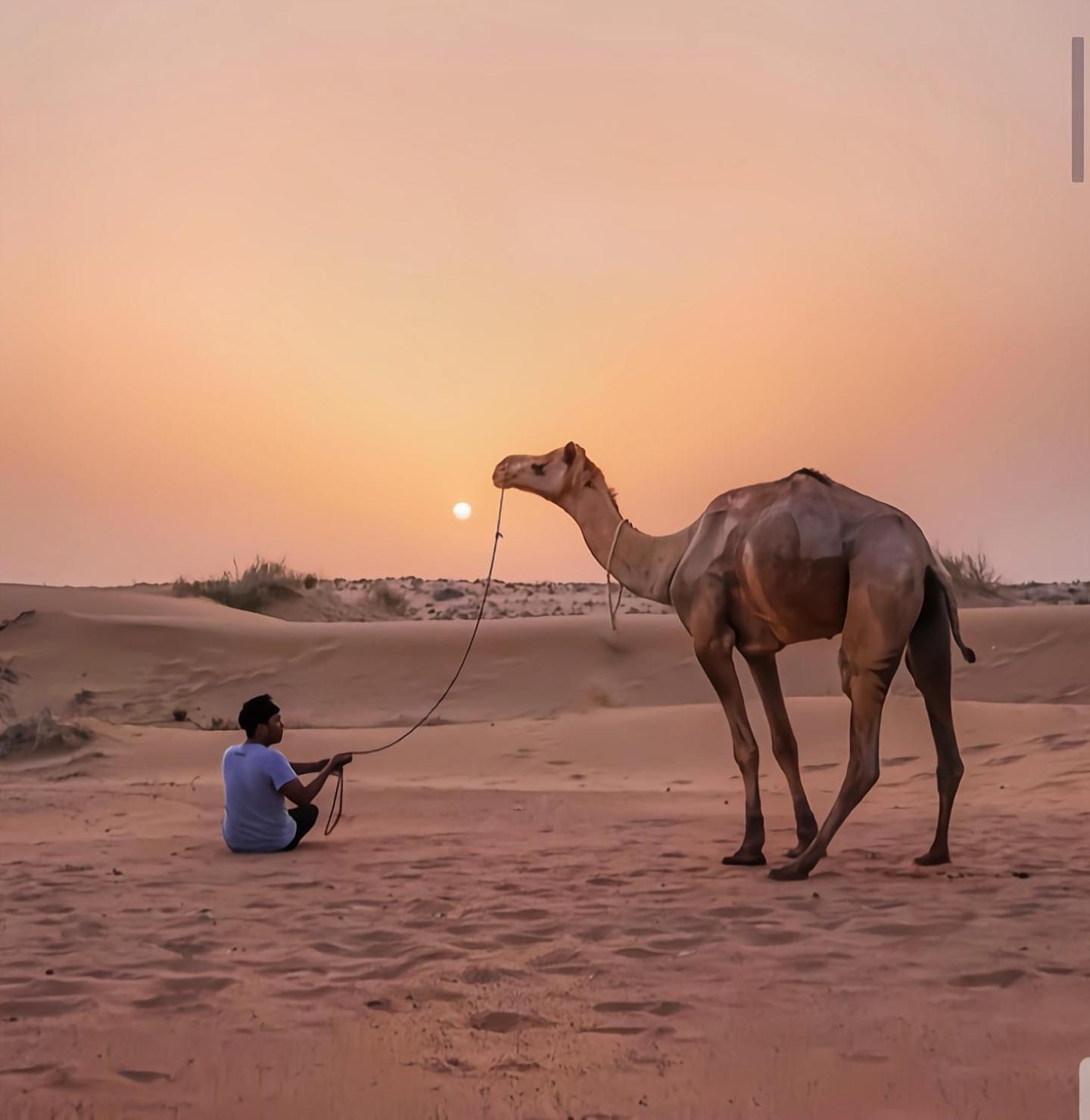 The Saffron Desert Camp Jaisalmer Exterior photo